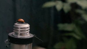 Каркасная котельная своими руками. Часть вторая: Нижняя обвязка.