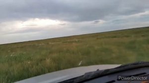 По следам #молочной #фермы