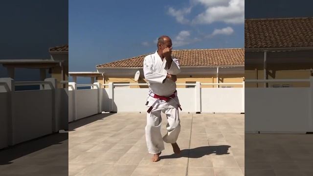 Ricardo Simini- TAKESHI MIYAGI SENSEI-Shorin Ryu Shidokan Tokio. смотреть онлайн