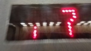 лифт щлз экомакс 2022