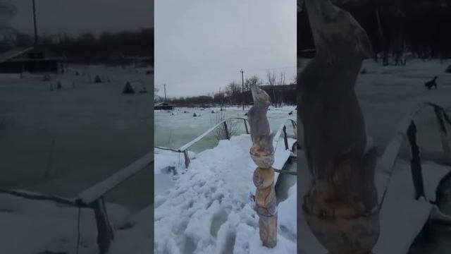 Река Авача вышла из берегов и затопила питомник собак.Камчатка. Климат. Экология.