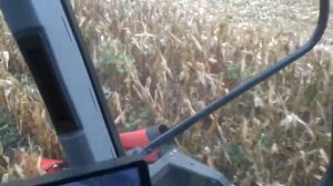 6-ти рядная кукурузная жатка Capello Quasar