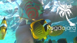 Подводнгый мир ONATTI Beach Resort Marsa Alam ex Otium Senses Onatti. Онатти бич резорт. Онати