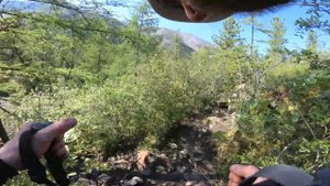 20180623-30 Природный парк "Шумак" #PANDASEMENMNTN