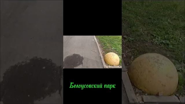 Белоусовский парк2 #прогулка #отпуск #путешествия #тула смотреть онлайн