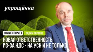 Новая ответственность из-за НДС - на УСН и не только