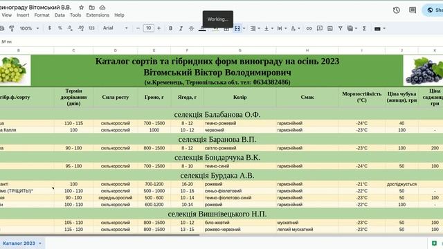 Виноград на Волині. Каталог саджанців та живців (чубуків) на осінь 2023 року. смотреть онлайн