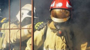 День спасателя отмечают в России