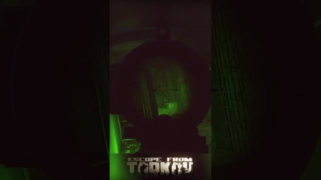 ДИКУСЫ КЛАССНЫЕ ПАЦАНЫ СПАВНЯТСЯ КОГДА ХОТЯТ И ГДЕ ХОТЯТ #eft #escapefromtarkov #shorts