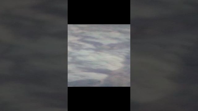 1000000447.mp4 смотреть онлайн