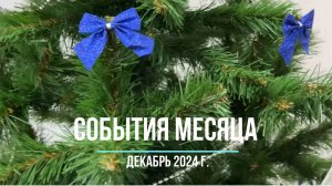 дайджест декабрь 2024