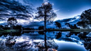 смотрю жэку