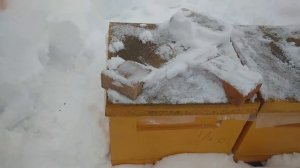 Минусы ульев ППУ #пчела #улей ППУ #пасека #мед #мёд #матка #улей #деревня #природа #ППУ #минусы ППУ