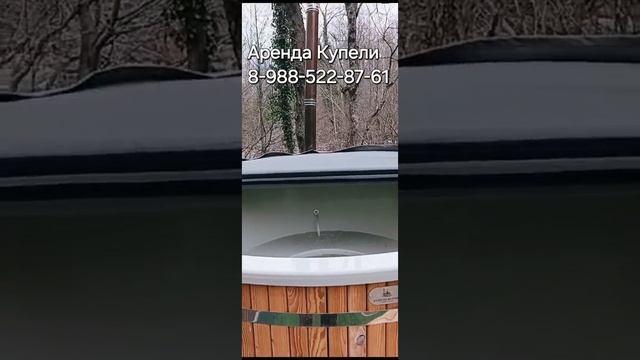 аренда купели на прицепе.
