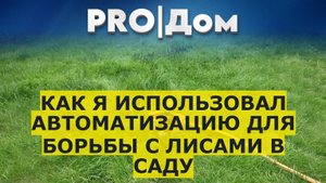 Как я использовал автоматизацию для борьбы с лисами в саду