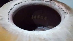 тандир сомса УЗБЕКИСКИЙ ТАНДИРНАЯ САМСА