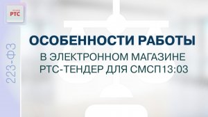 Особенности работы в электронном магазине РТС-тендер для СМСП 13:03. (23.12.2024)