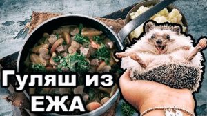 ГУЛЯШ ИЗ ЕЖА мясо ежа
