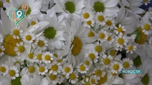 Женское движение подводит итоги Года семьи