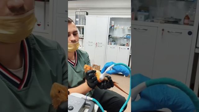 Помогите придумать имена для детей на букву А!