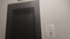 музыкальный лифт щлз экомакс 2018 от пик. снял только пассажирский, грузовой сломан.