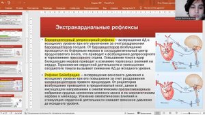 Регуляция сердечной деятельности, ЭКГ