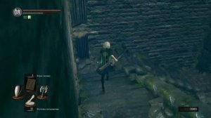 Dark Souls: Remastered, но я собрал всё уникально оружие|1 часть