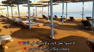 فندق هاواى سيزر بالاس وهاواى سيزر دريمز الغردقة  hawaii caesar palace hawaii caeser dreams hurghada