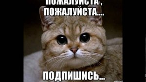 🇷🇺Наши бойцы уничтожили группу ДРГ Кавказского🐷🔥 легиона (Caucasus Legion) в районе н.п. Лысовка