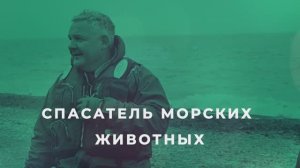 Спасатель морских животных