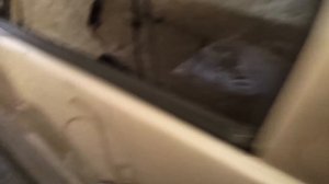 + 20 Л.С. НА ШЕВРОЛЕ НИВА ЗА ТРИ ДНЯ