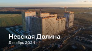 «Невская Долина» / Декабрь 2024