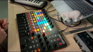 Lo Fi Сhill House // Akai APC 40 mk 2
