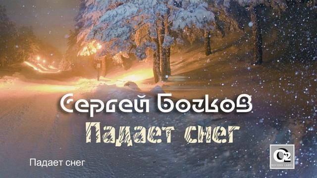 Сергей Бочков - Падает снег