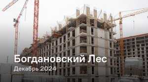 «Богдановский Лес» / Декабрь 2024