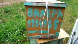 Установка ловушек для пчел