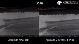Что купить Pulsar Accolade LRF XP50 или Pulsar Accolade 2 LRF XP50 Pro? Ночной тест, мнение эксперта