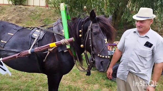ЛОШАДИ🐎ЗНАКОМИМСЯ С УЧАСТНИКАМИ ПОЛЕССКИХ СОРЕВНОВАНИЙ И ИХ ЛОШАДЬМИ🐎