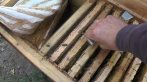 СКОЛЬКО РАМОК НУЖНО ДЛЯ ПЧЕЛ НА ЗИМУ?