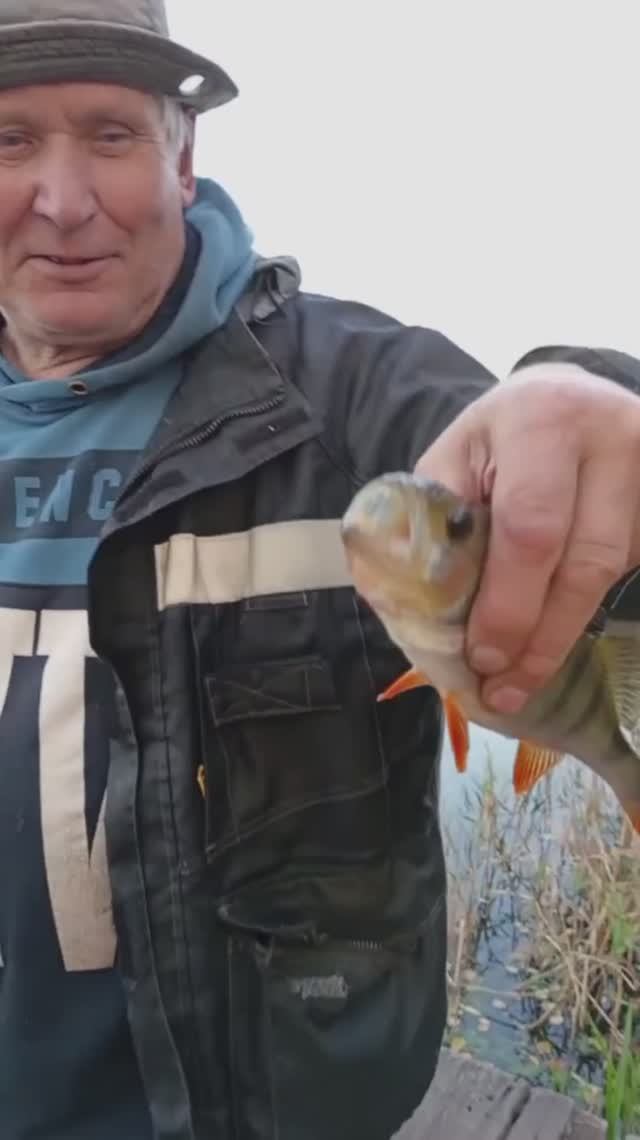 Михалыч ДОХВАСТАЛСЯ!