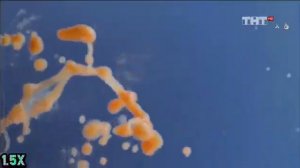 J7 Fresh Taste - "Кeep fresh" в 8х быстрее