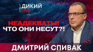 Страна неограниченных возможностей и всевозможных ограничений. Дмитрий Спивак. Дикий LIVE.