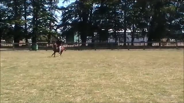 FOR SALE.....Cool Little Pony смотреть онлайн