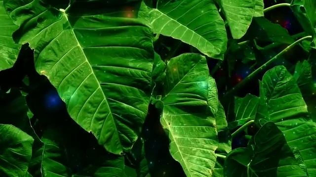Медитация-гипноз 🫸🫷для избавления от тревоги, страха, беспокойства и других негативных эмоций