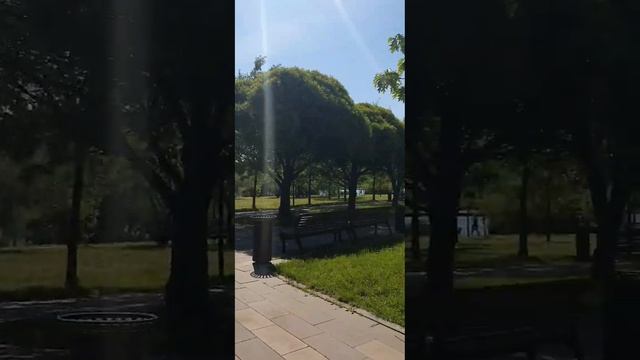 🚳Совет рожденным 13 июня и не только #рекомендации #полезныесоветы #shortvideo #нумерология