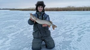 РЫБАЛКА НА ДАЧНОЙ РЕЧКЕ. ОТКРЫЛСЯ ПО ЖЕРЛИЦАМ!