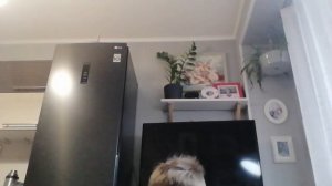 Обзор игрушечного оружия которым играет Матвей. Часть1.