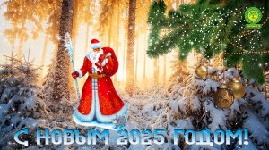 Новогодний 2025