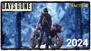 Days Gone ( Жизнь После ) в 2024 году - Прохождение 12