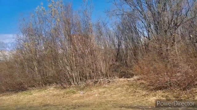 Игра "Трио - три на три" Что смогла продвинуть за это время? смотреть онлайн